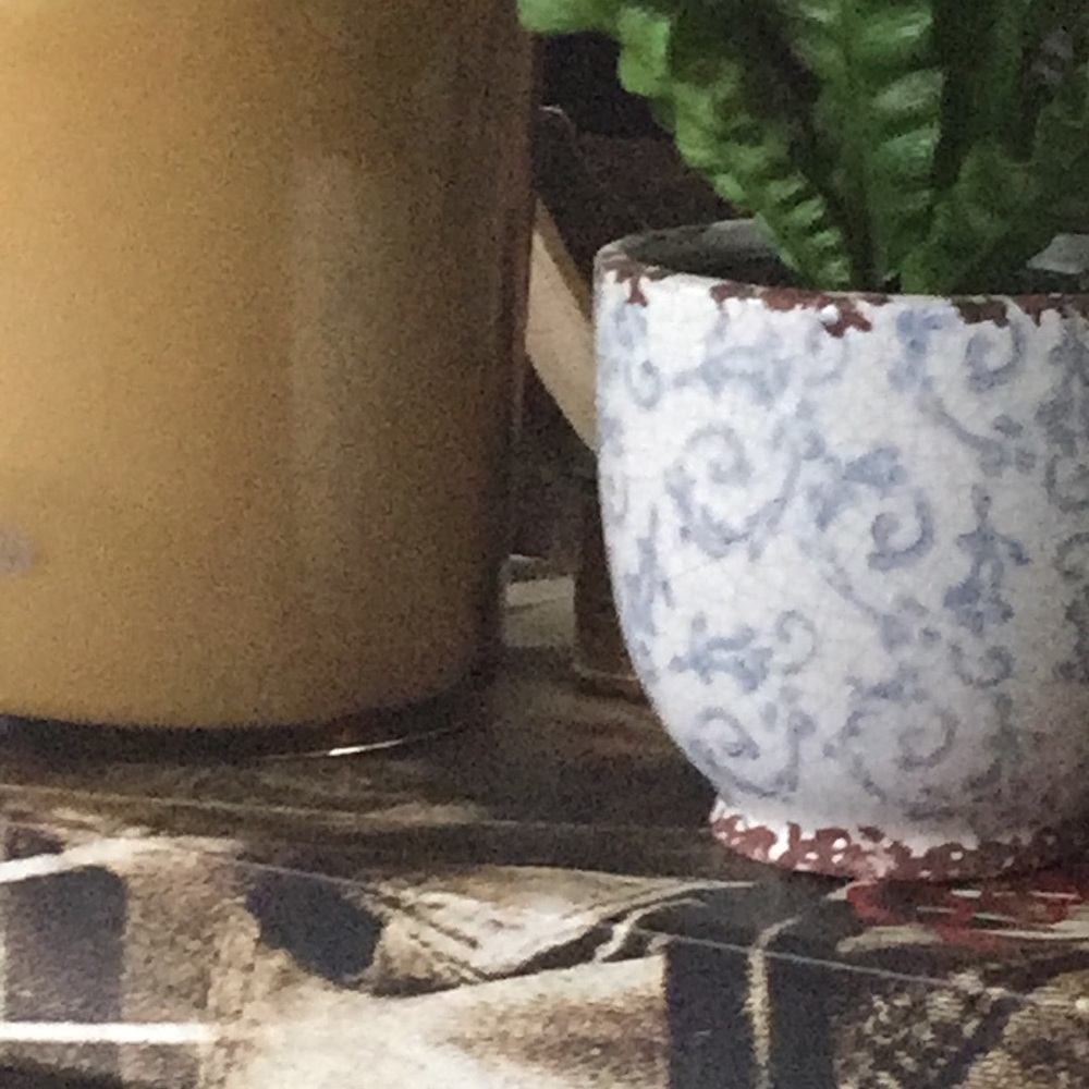 Meet your Posher, Denise